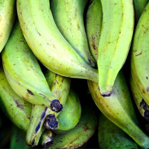 plantains